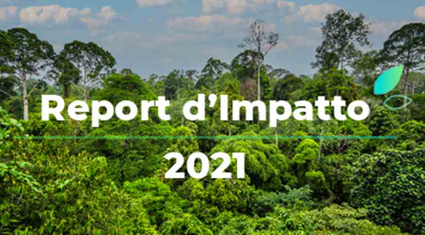 Anteprima News Report Impatto Treedom 2021